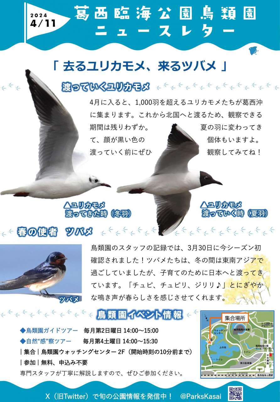 240411鳥類園ニュースレター