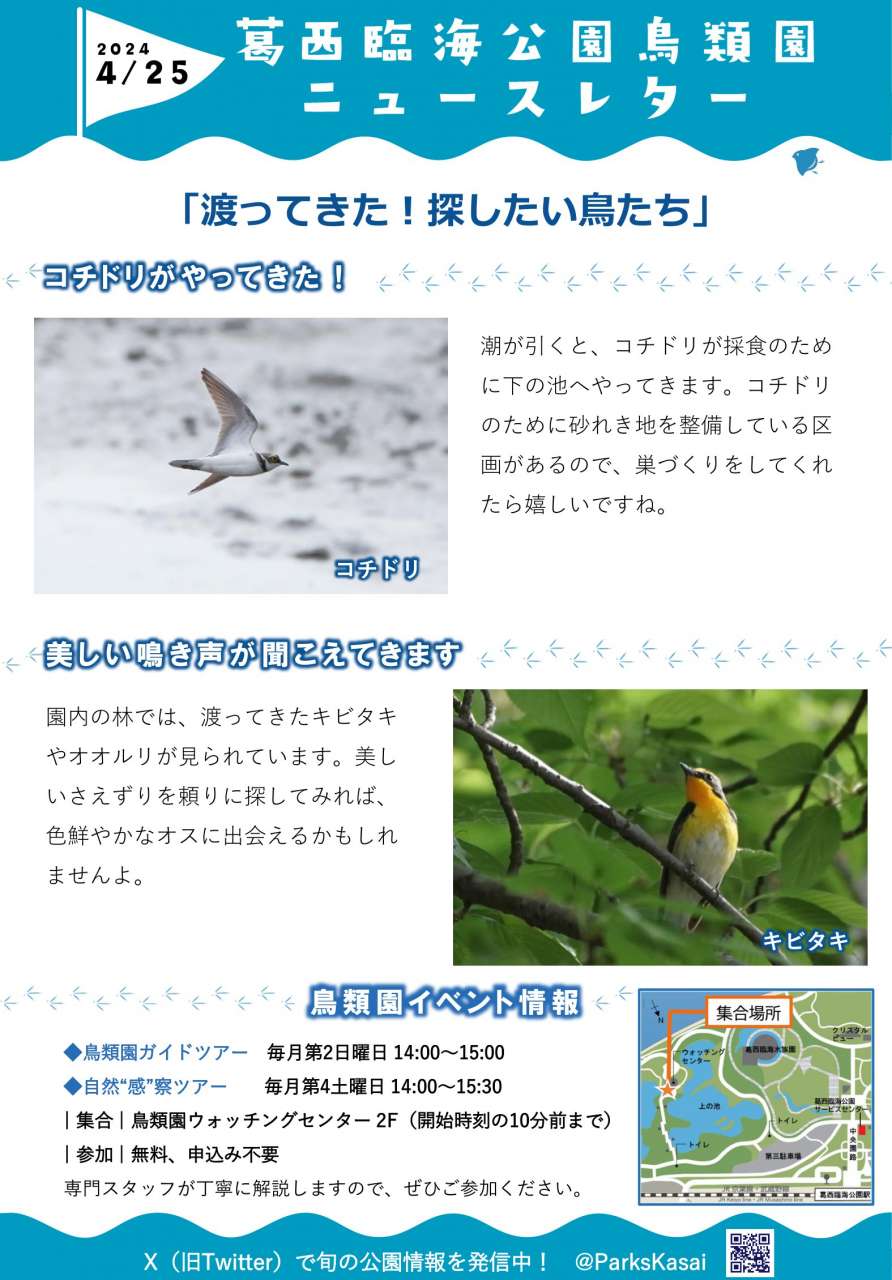 240425鳥類園ニュースレター