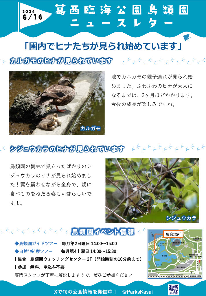 240616鳥類園ニュースレター
