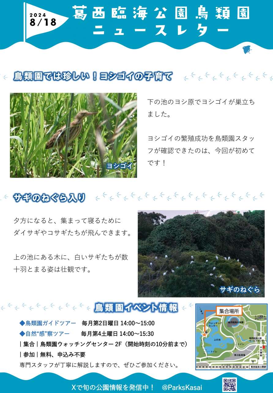 240818鳥類園ニュースレター
