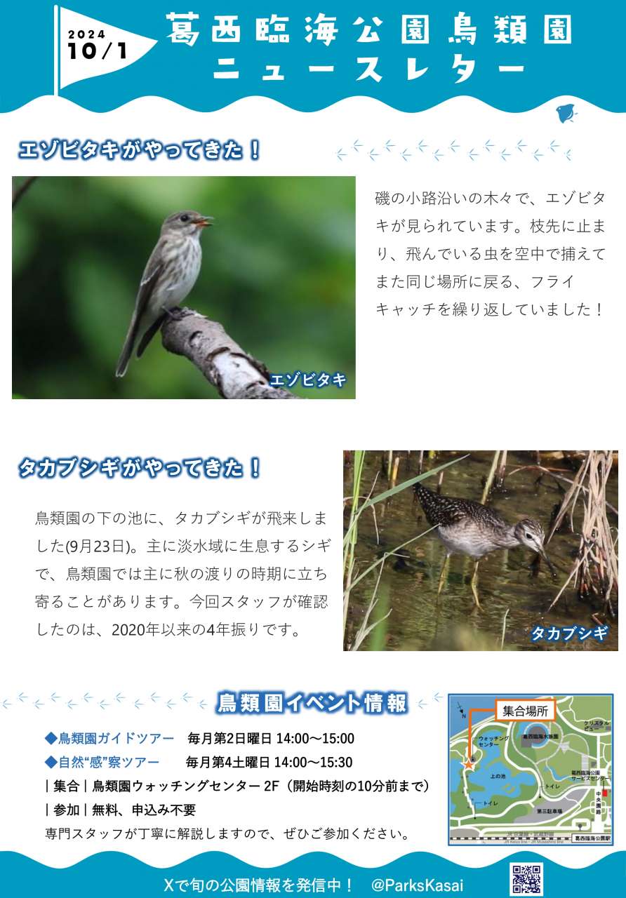 241001鳥類園ニュースレター