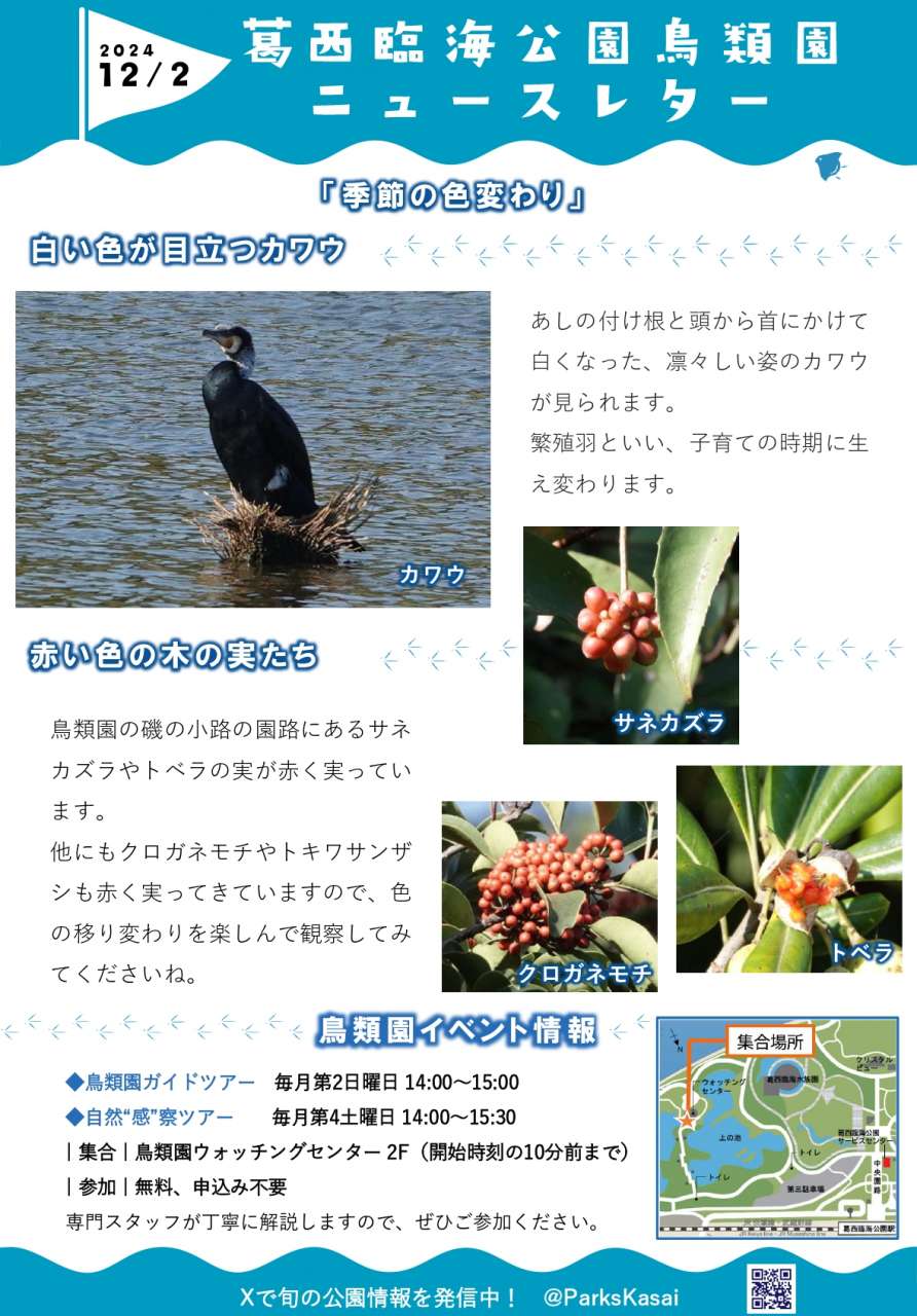 241202鳥類園ニュースレター