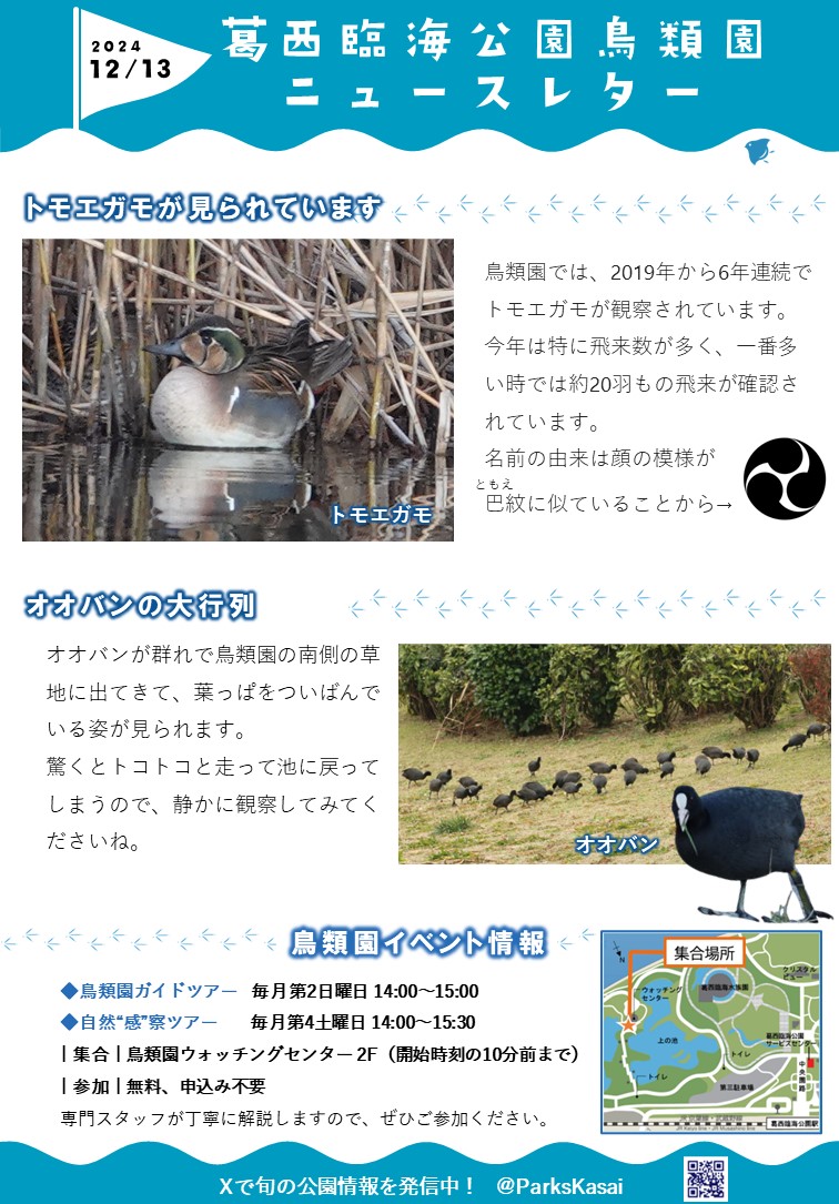 241213鳥類園ニュースレター