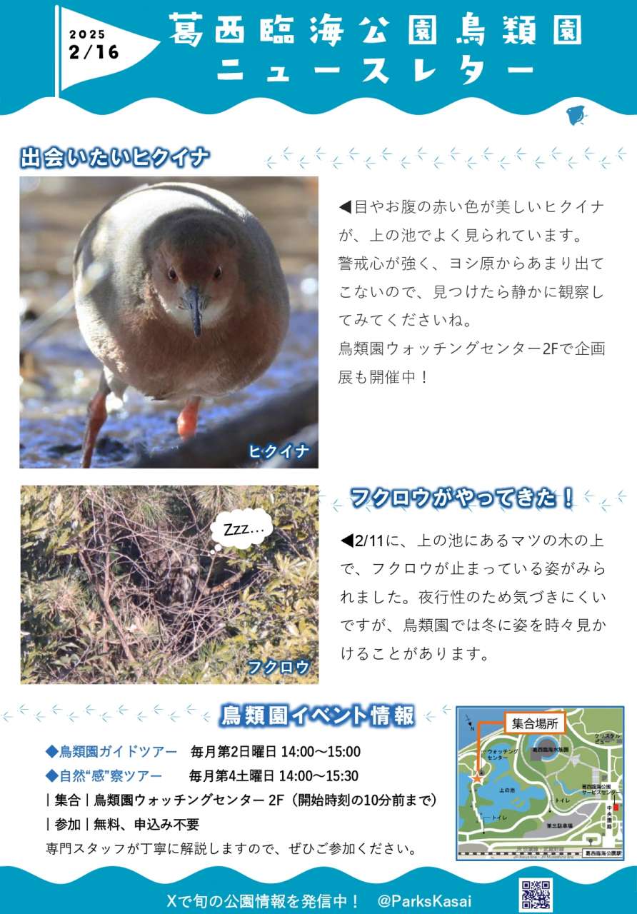 250216鳥類園ニュースレター