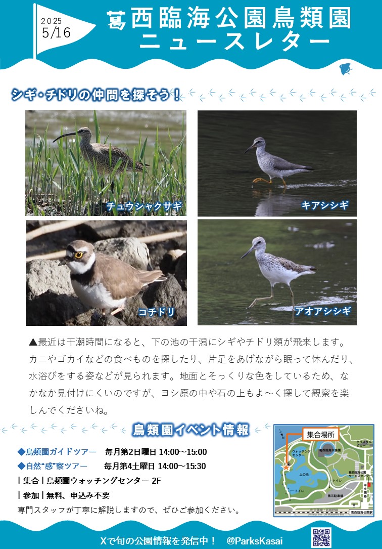 250516鳥類園ニュースレター