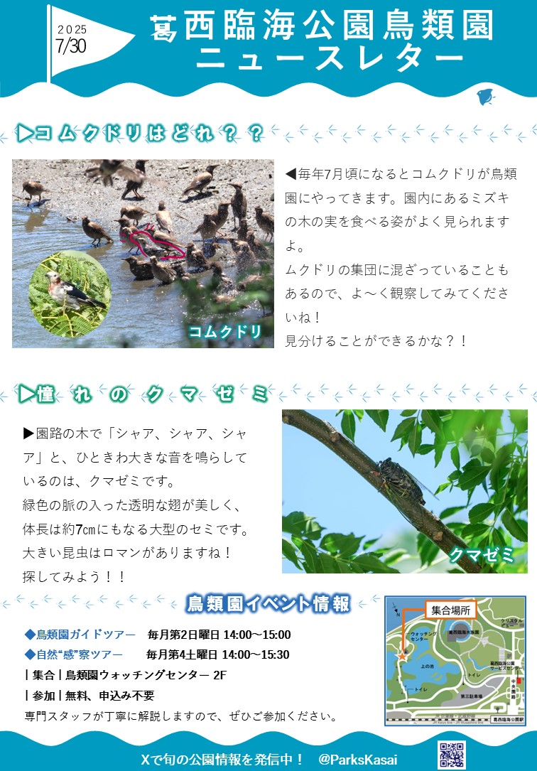 250730鳥類園ニュースレター