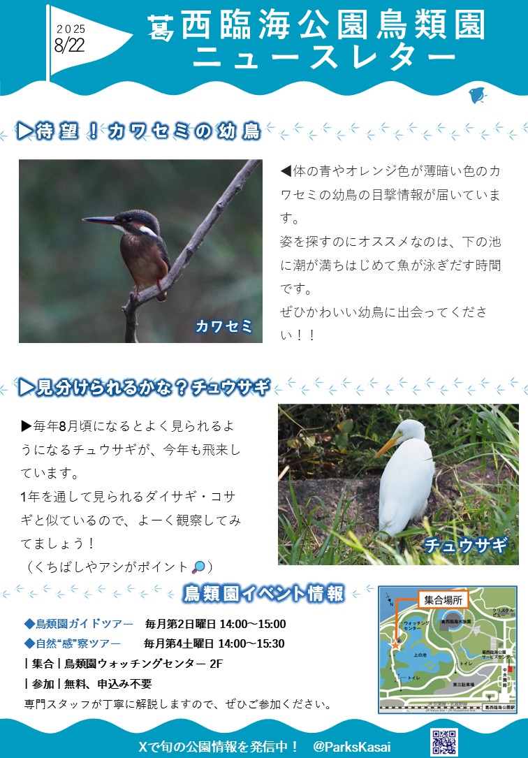 250822鳥類園ニュースレター