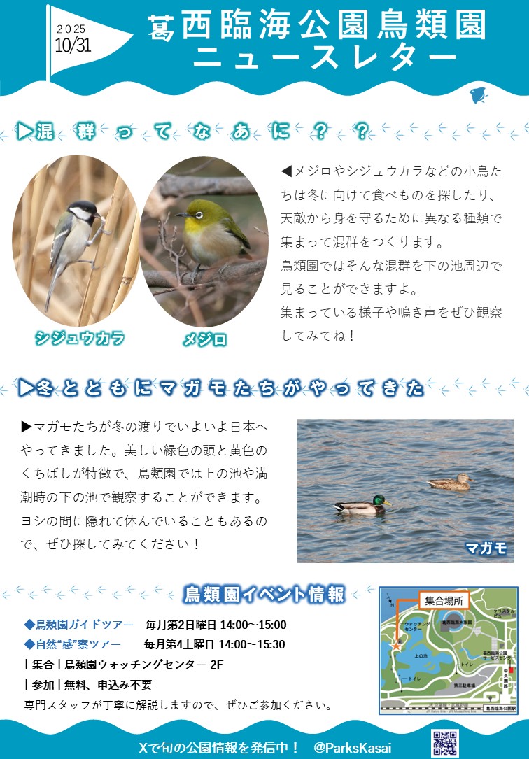 251031鳥類園ニュースレター