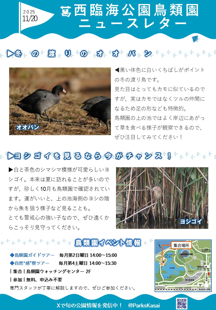 251120鳥類園ニュースレター