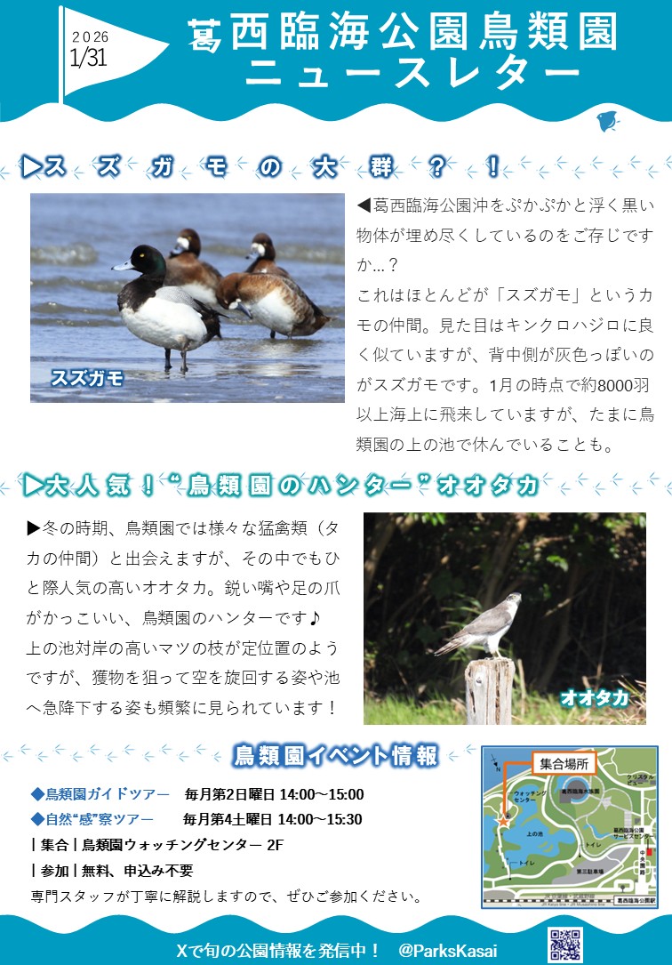 260131鳥類園ニュースレター
