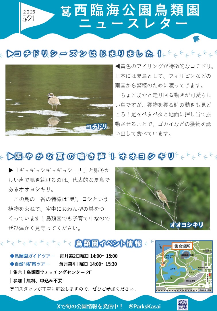 260521鳥類園ニュースレター