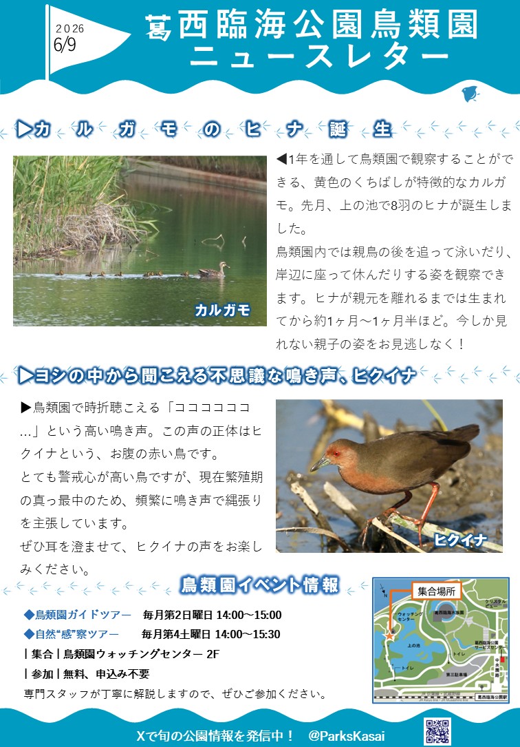 260609鳥類園ニュースレター