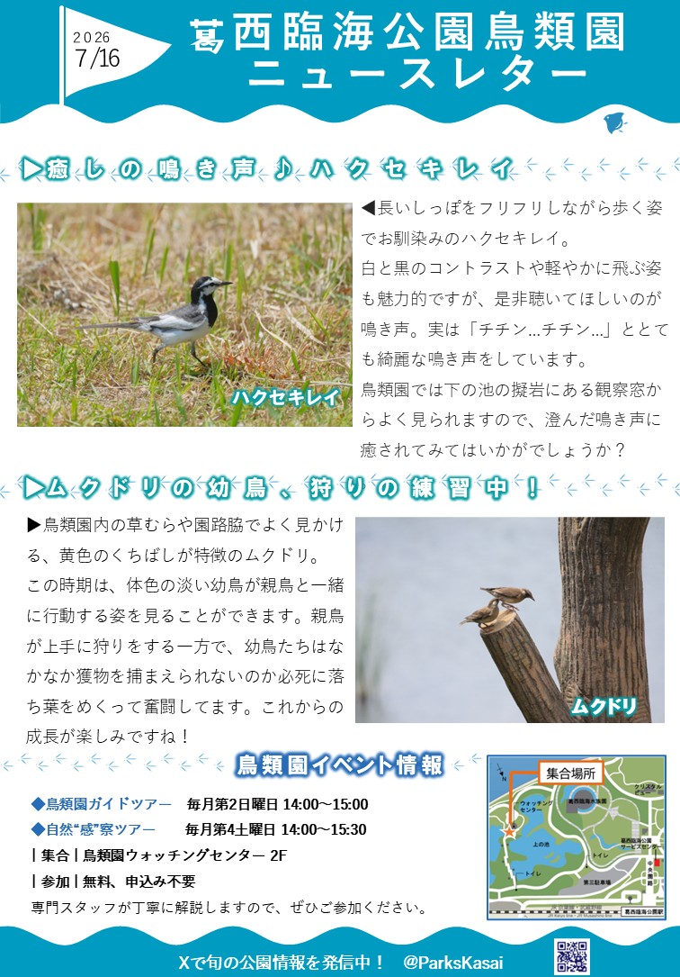 260716鳥類園ニュースレター