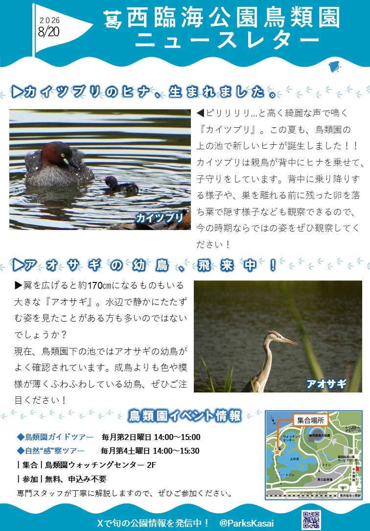 260820鳥類園ニュースレター