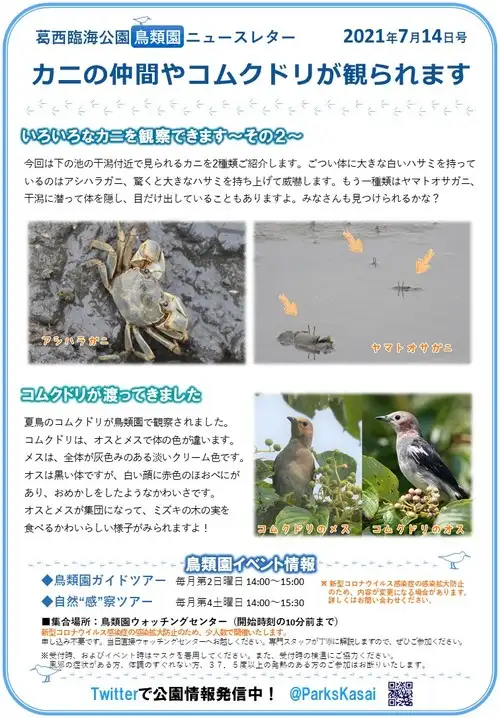 210714鳥類園ニュースレター_05