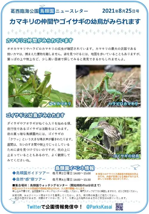 210825鳥類園ニュースレター_05