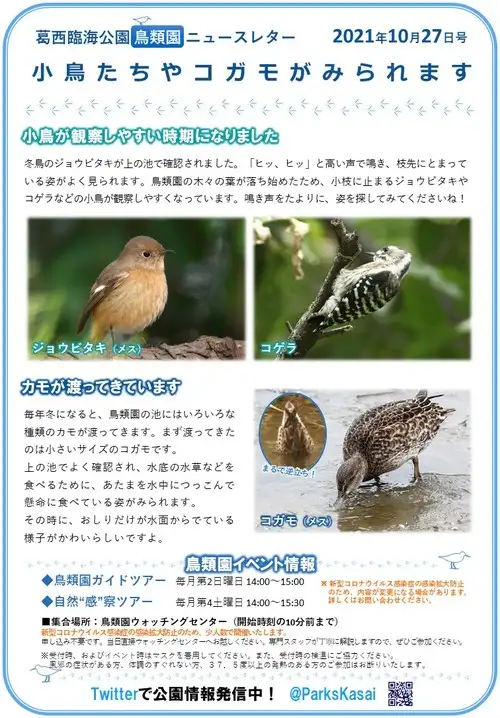 211027鳥類園ニュースレター_05