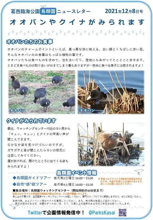 211208鳥類園ニュースレター_05