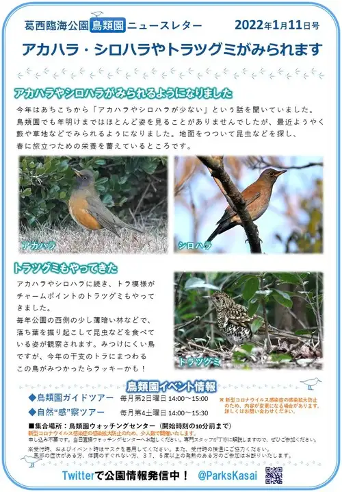 220111鳥類園ニュースレター_05