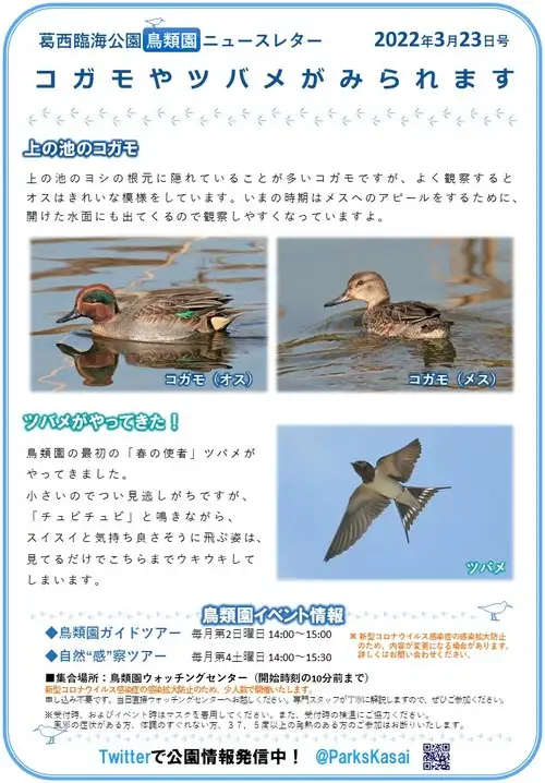 220323鳥類園ニュースレター_05