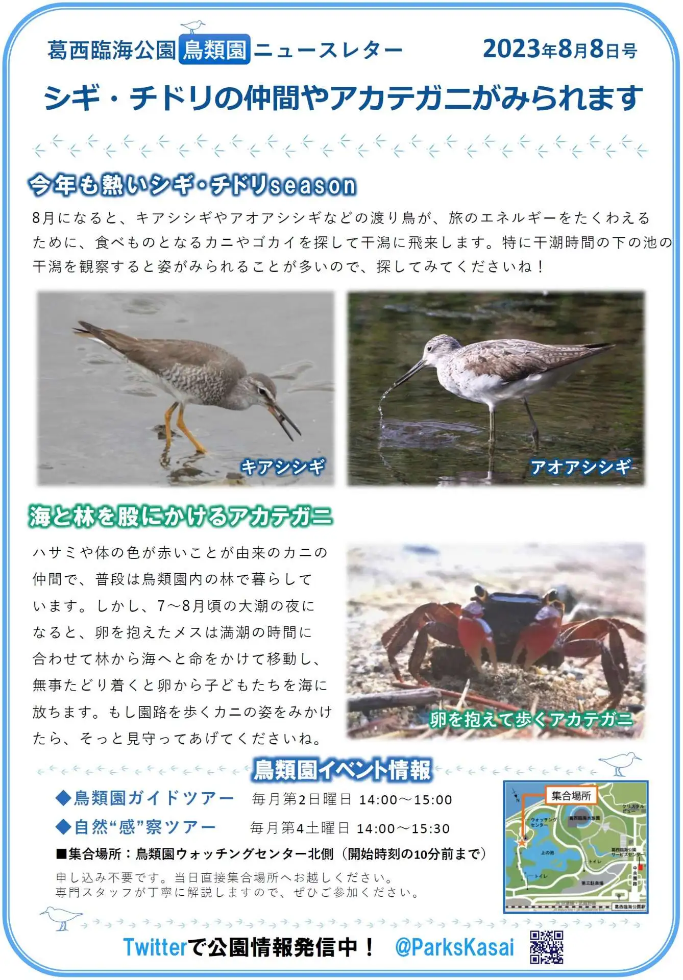 葛西臨海公園　鳥類園ニュースレター　2023年8月8日号_05