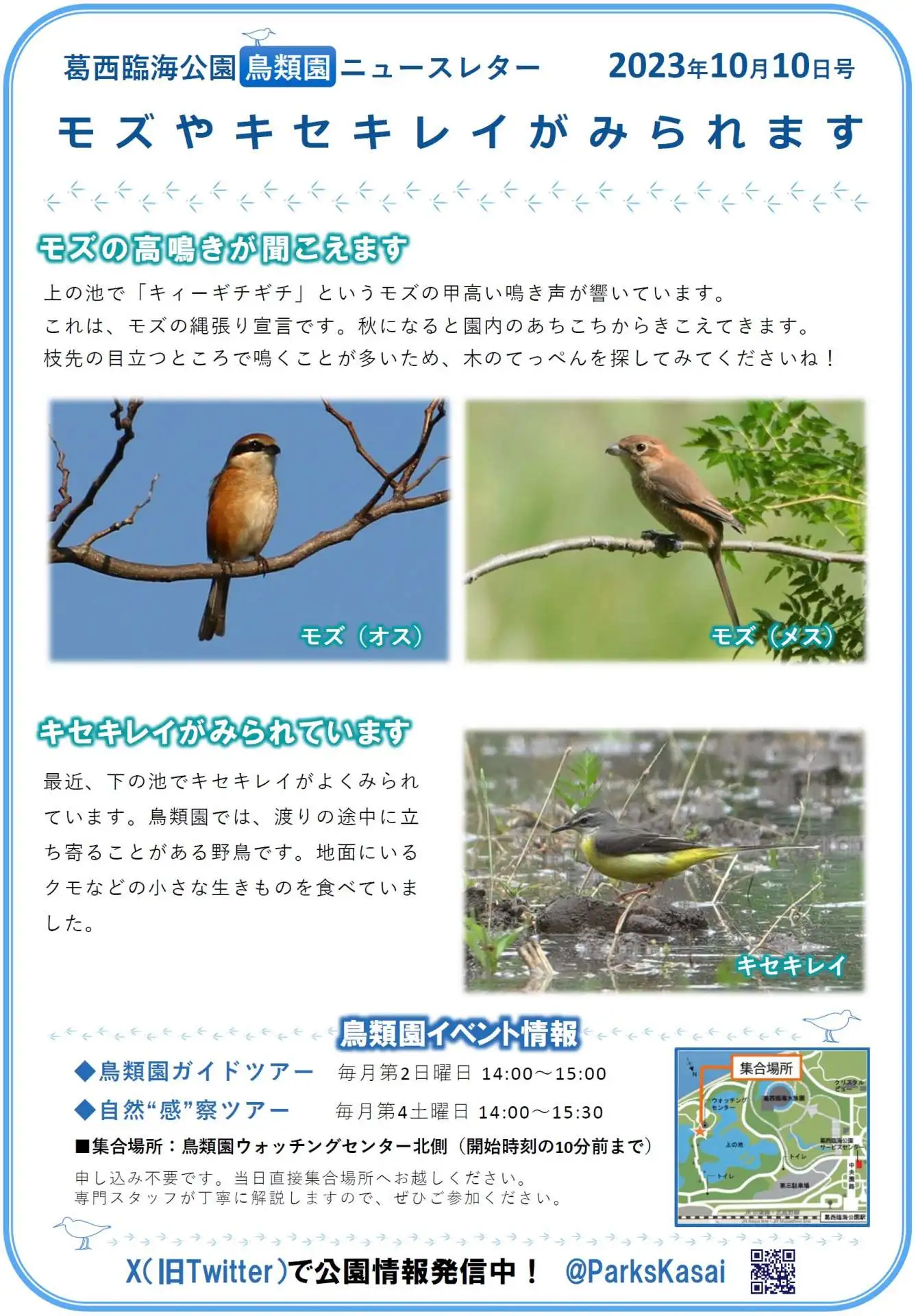 葛西臨海公園　鳥類園ニュースレター　2023年10月10日号_05