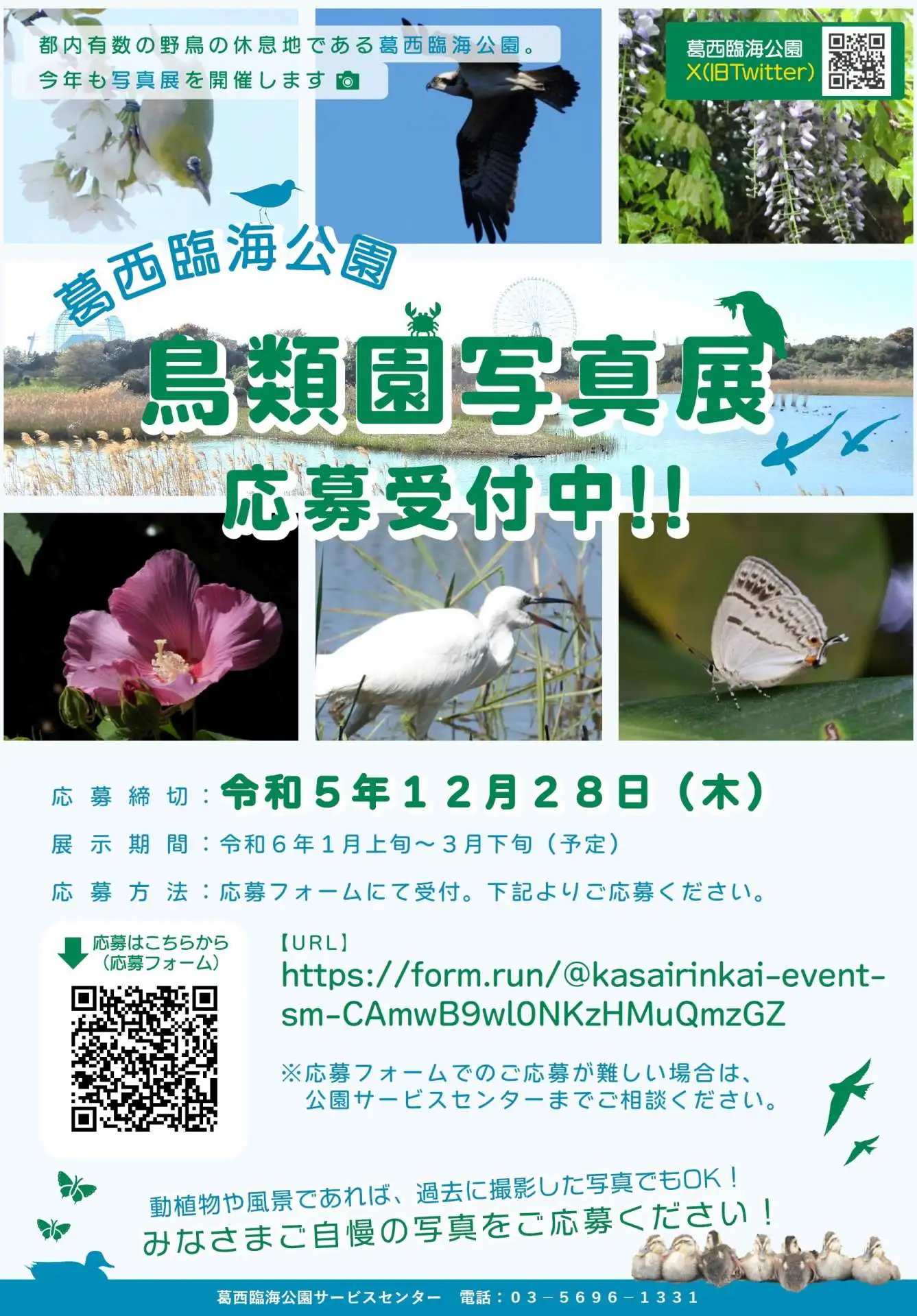 ★展示作品募集中！★葛西臨海公園 鳥類園写真展_05