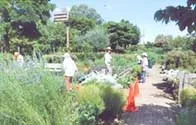 木場公園友の会