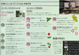 2022年ちょこっとガーデニング_02