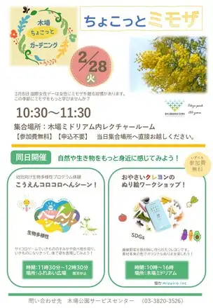 ちょこっとミモザチラシ20230123_01