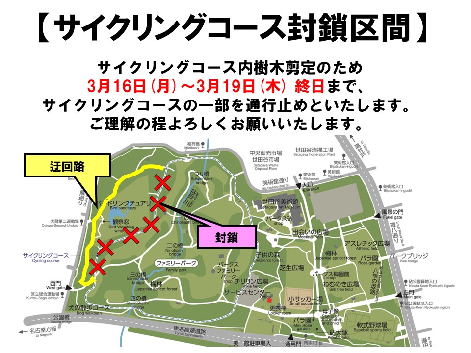 20260316-19_サイクリングコース剪定