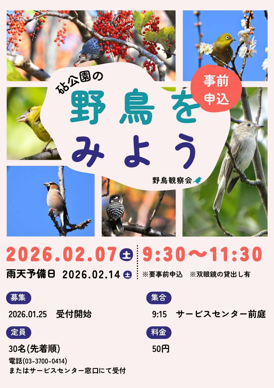 R7野鳥観察会ポスター