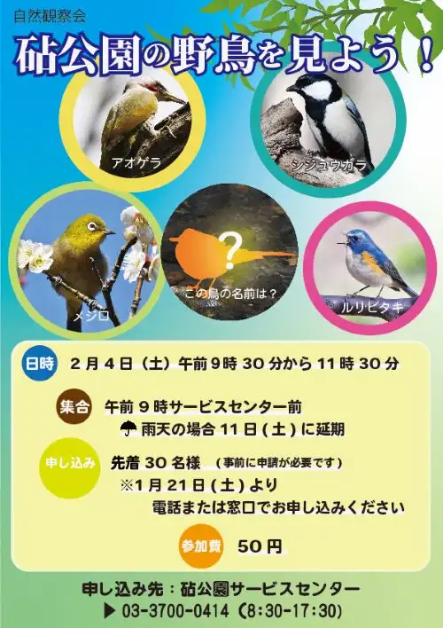 2023_野鳥観察会Flyer_05