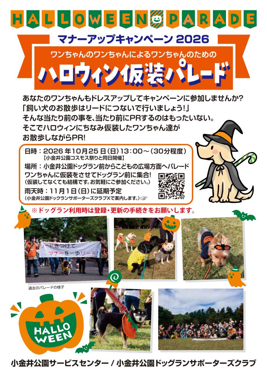 ハロウィン_20261025
