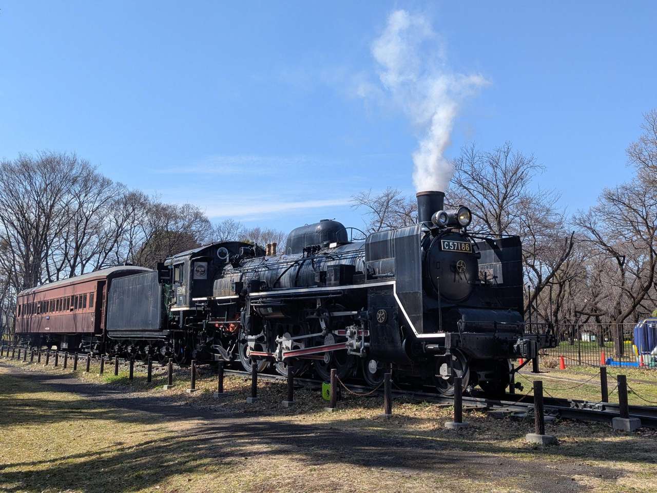 小金井公園260307SLフェスタ（W） (59)