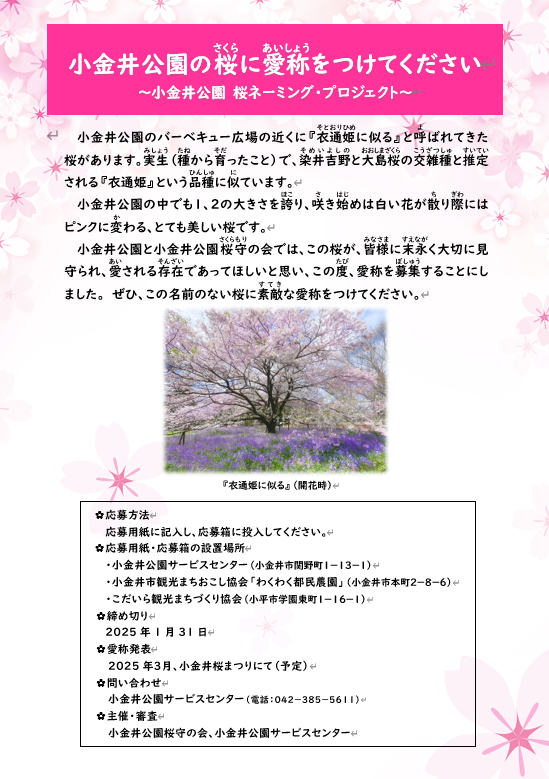 桜ネーミング