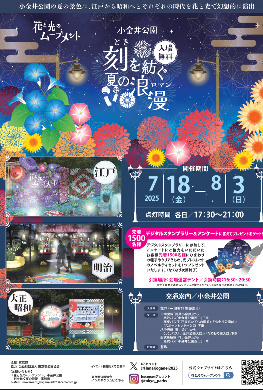 花と光(1)