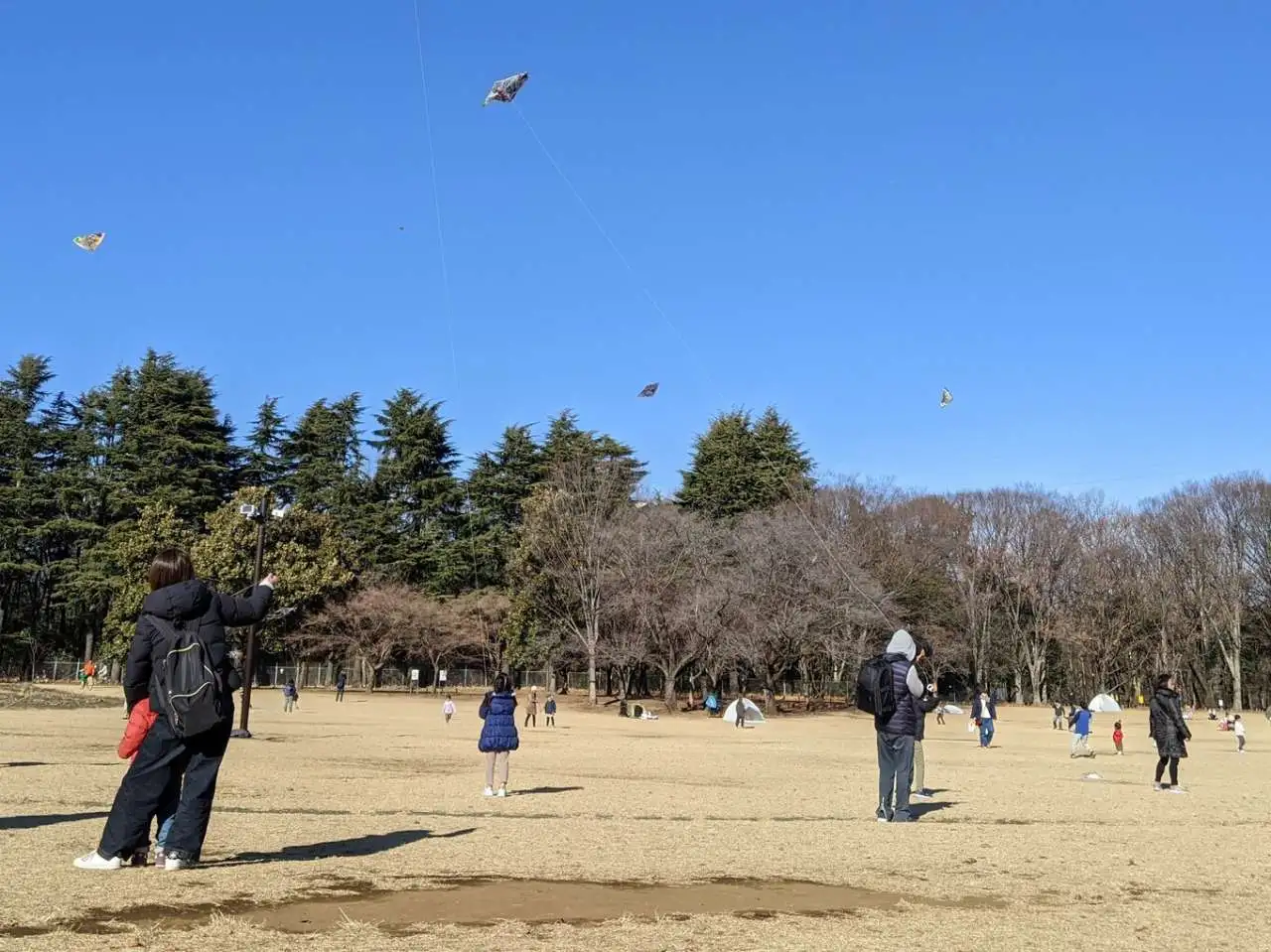 【まとめ情報】 小金井公園からのお知らせ_05