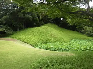 刈取りから約2か月後の様子(イメージ)