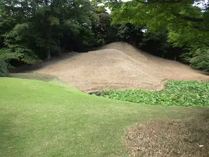 刈取り直後の様子(イメージ)