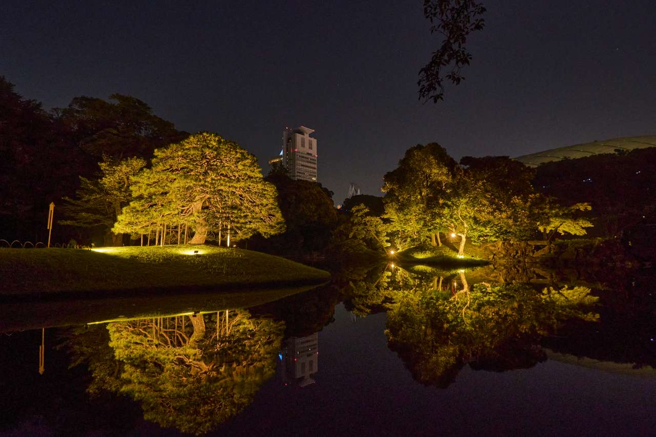 小石川後楽園夜間開園 (4)