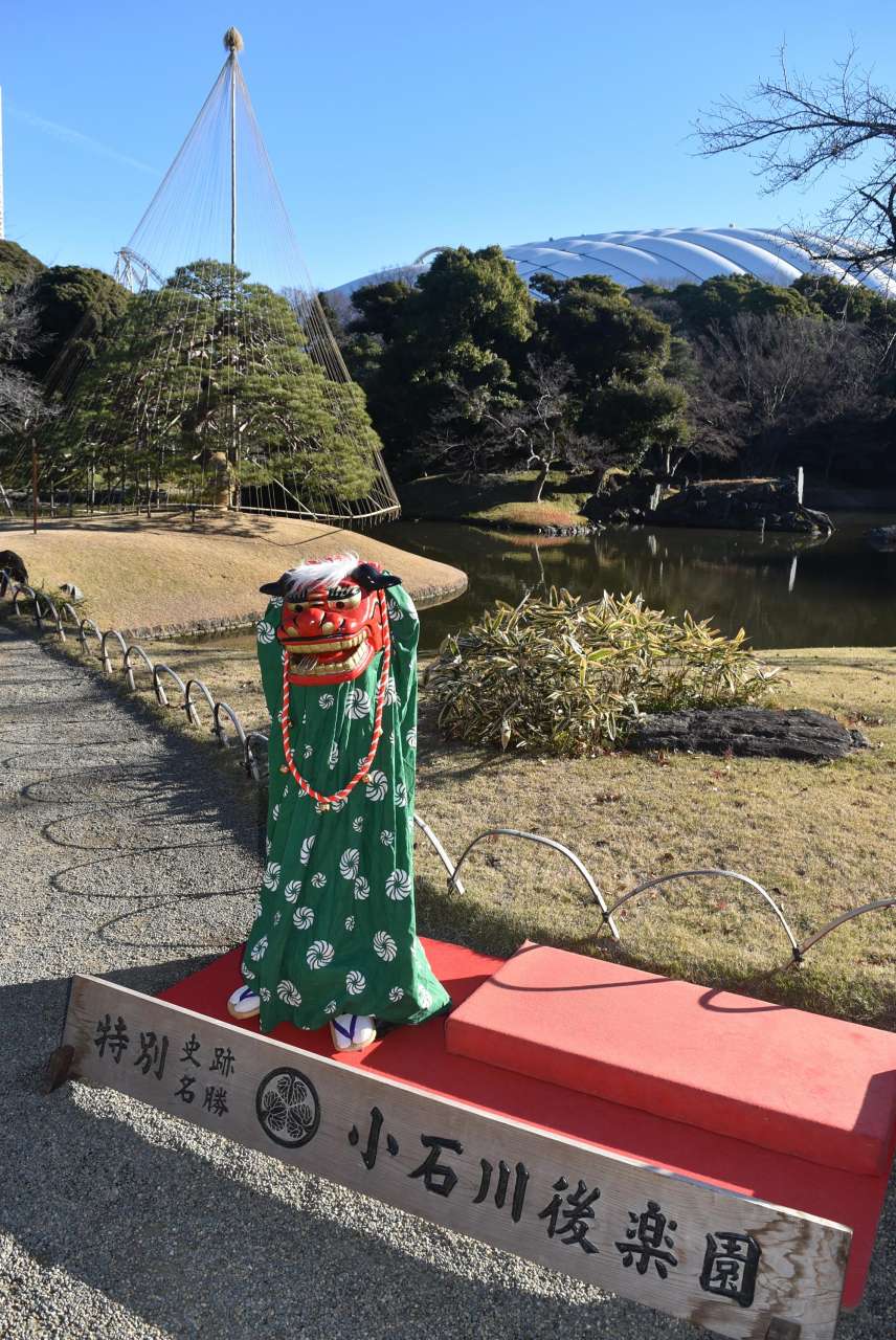小石川後楽園230103獅子舞と雪吊り