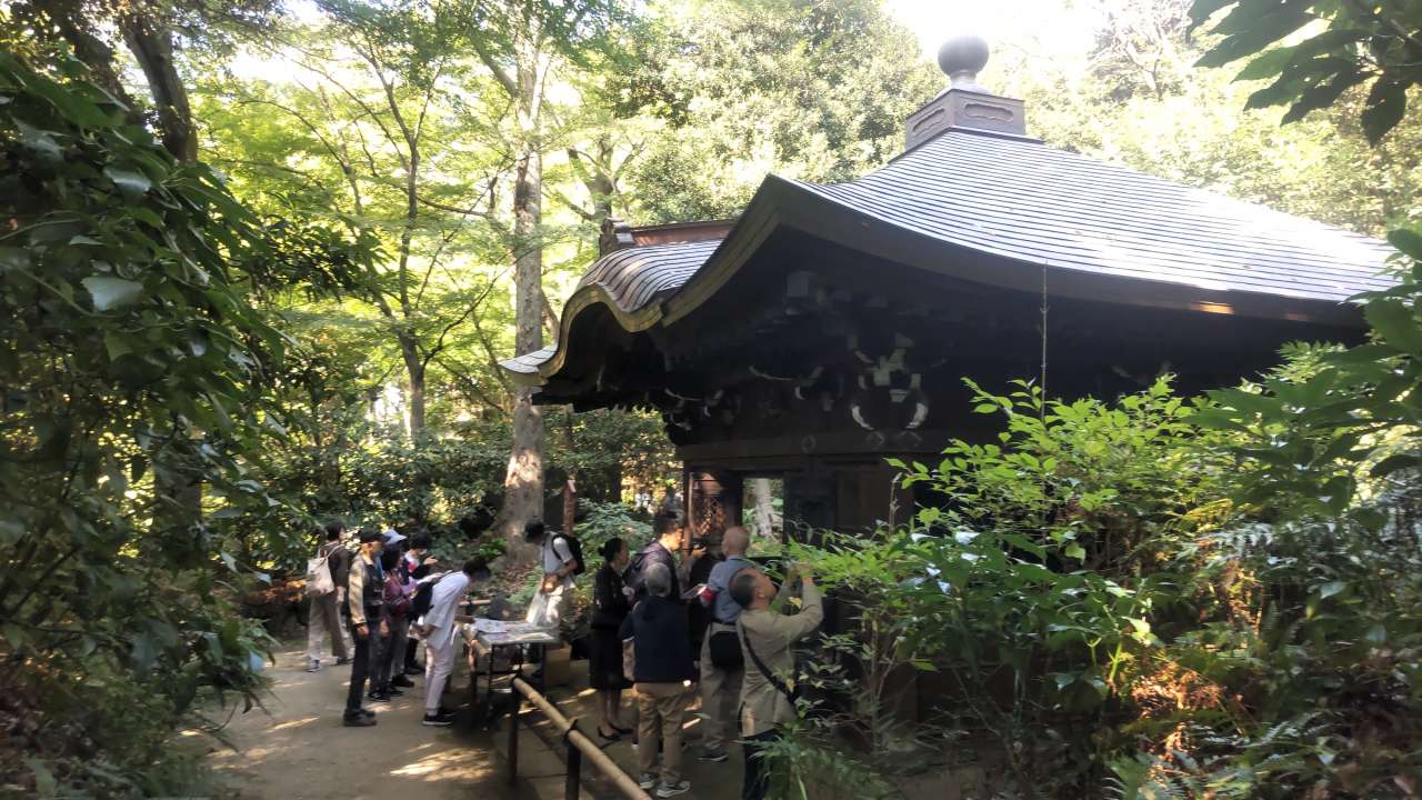 小石川後楽園231103得仁堂特別公開 (27)