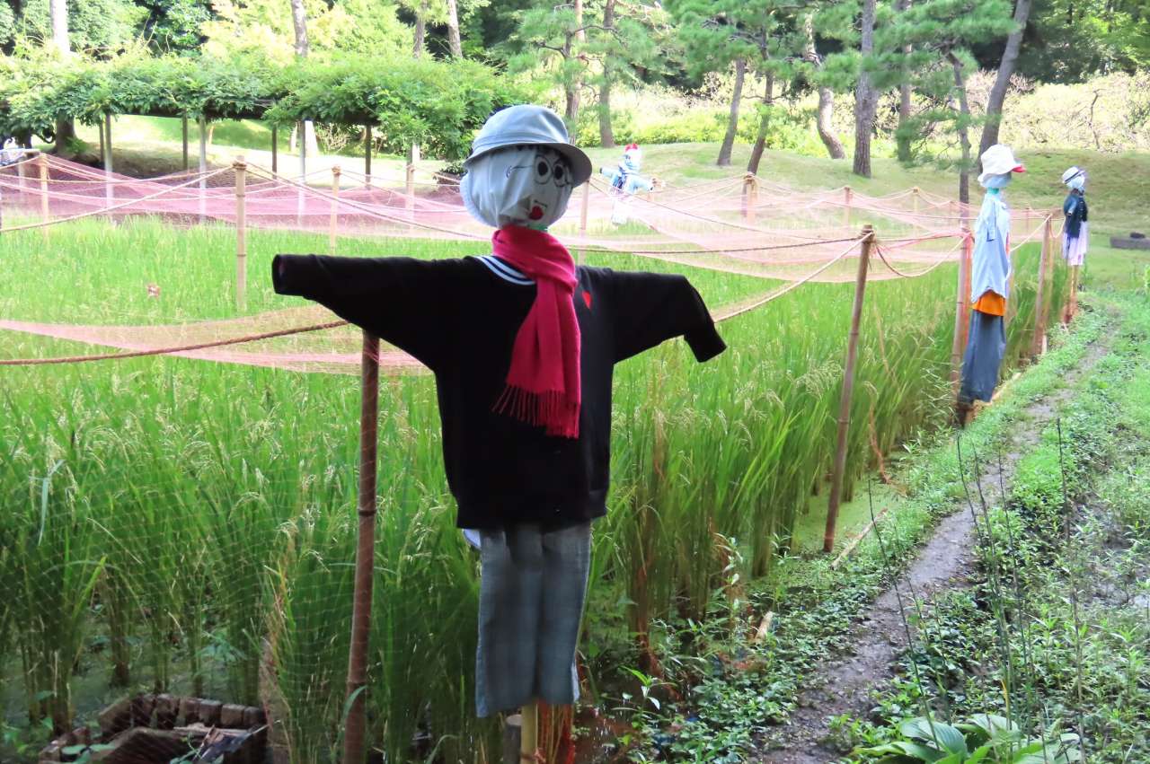 小石川後楽園24040906 (4)