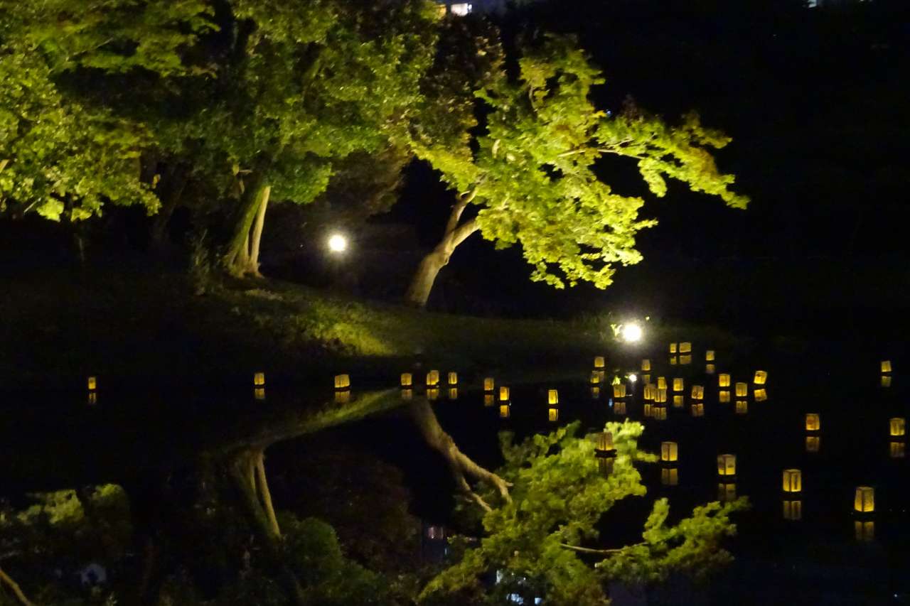 小石川後楽園241006夜間開園灯篭流し (2)