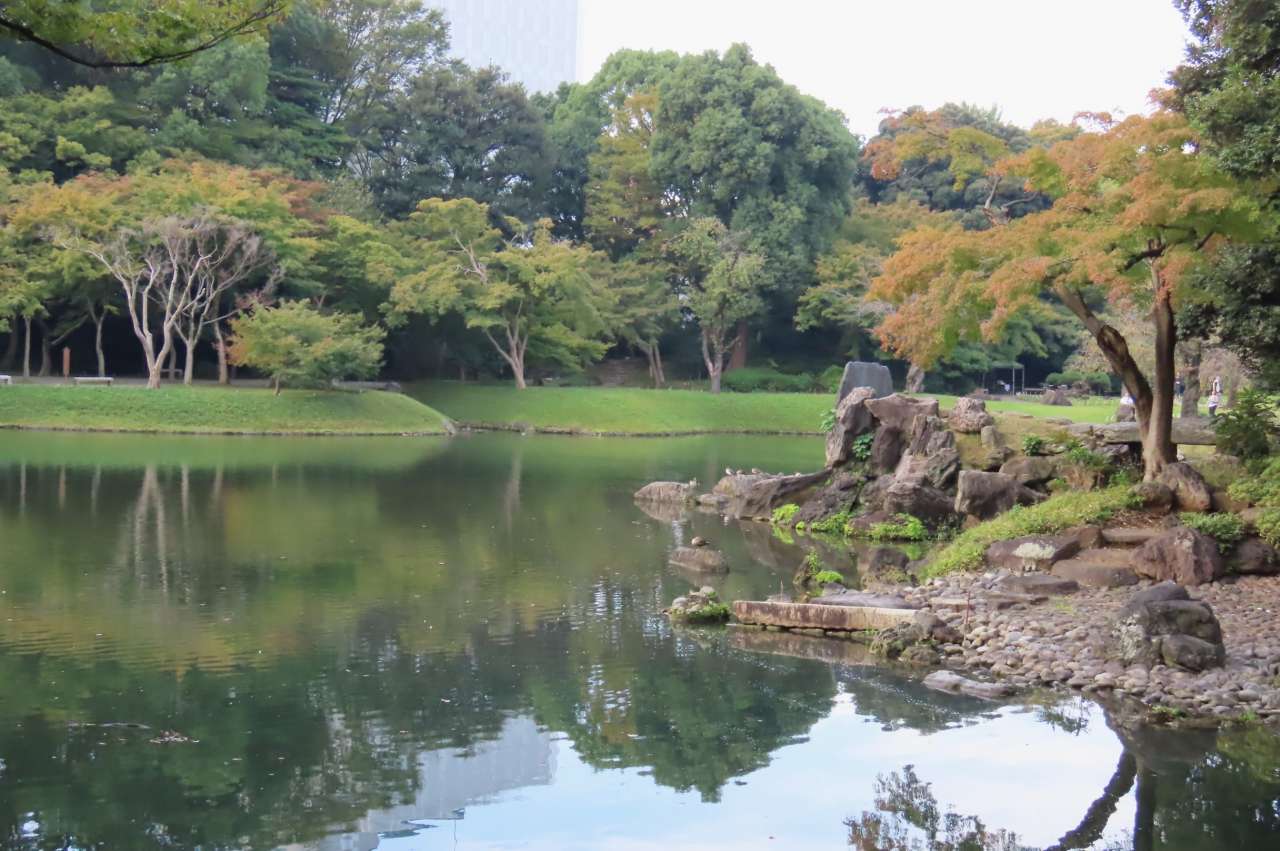 小石川後楽園241105 (15)