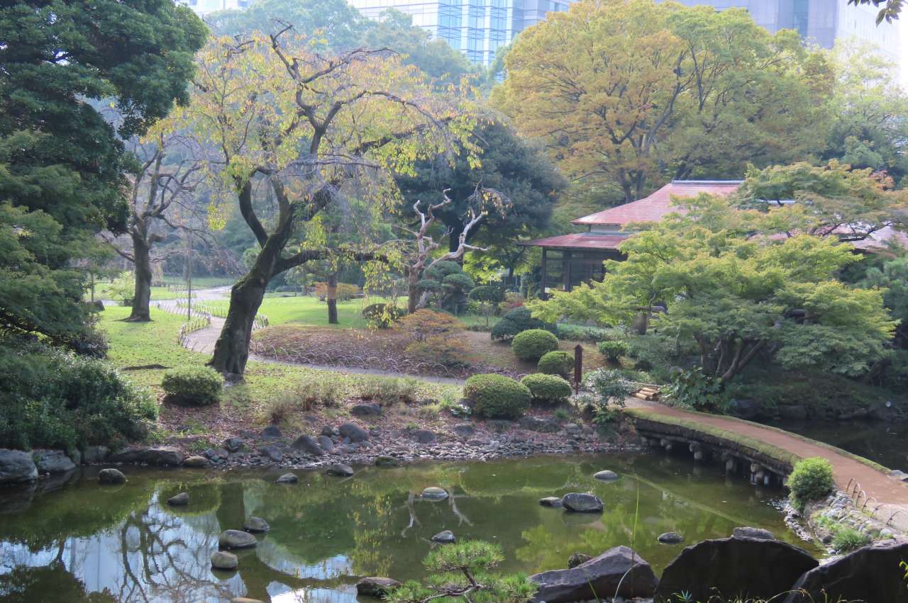 小石川後楽園241105 (24)