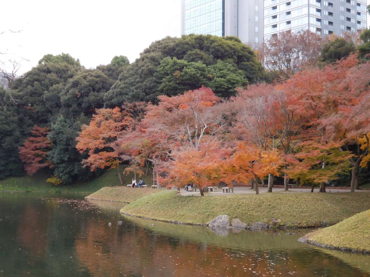 小石川後楽園241213 (10)