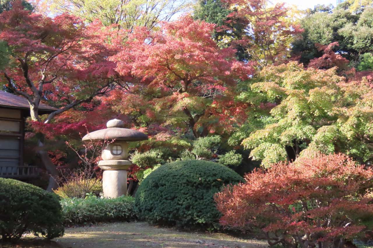 涵徳亭の裏の紅葉