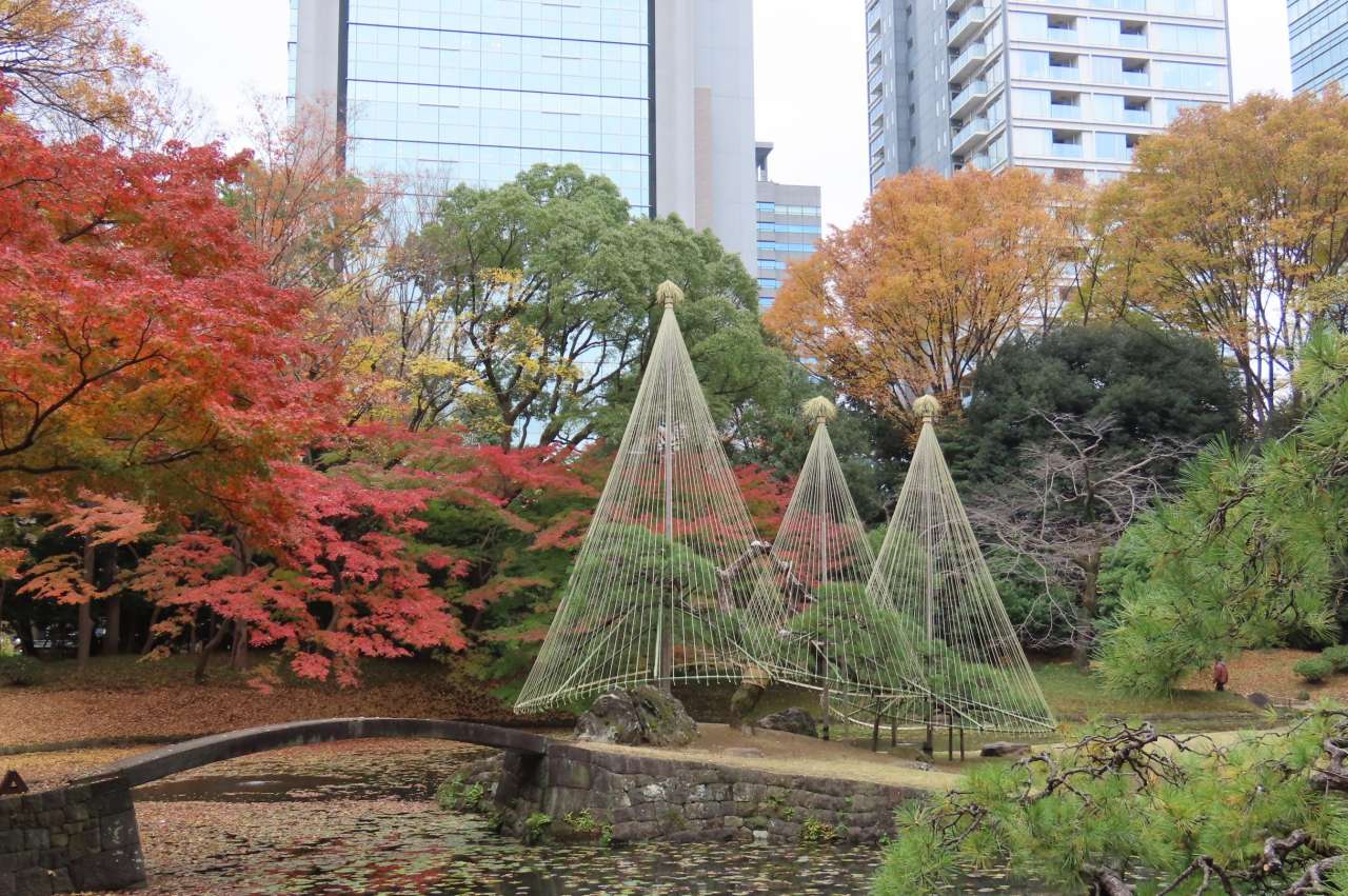 小石川後楽園251125 (4)